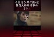 韩国信号在线观看,在线观看揭秘惊悚悬疑背后的真实故事