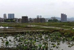 陆河县河田镇爆料新闻,揭秘背后真相