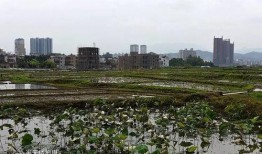 陆河县河田镇爆料新闻,揭秘背后真相