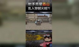 鲸鱼大哥爆料视频大全,视频大全背后的精彩故事