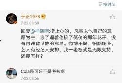 娱乐圈吃瓜的句子,幕后真相与明星隐私曝光