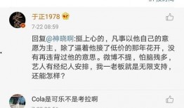 娱乐圈吃瓜的句子,幕后真相与明星隐私曝光