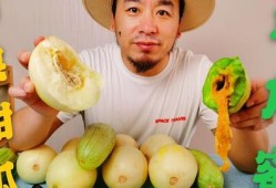 网红吃瓜泡泡,揭秘娱乐圈幕后真相
