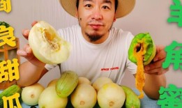 网红吃瓜泡泡,揭秘娱乐圈幕后真相