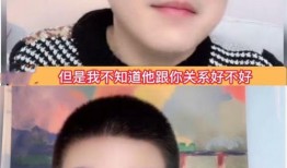 刘大锤爆料爱豆视频播放,爱豆神秘视频播放引发热议