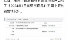 东莞房产爆料最新消息今天,今日热点爆料解读