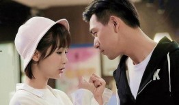 电视剧亲爱的在线观看,温情演绎家庭情感纠葛，感人至深！