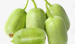 小香瓜视频爆料大全下载,揭秘娱乐圈幕后真相