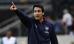 阿森纳埃梅里最新爆料,揭秘球队变革与未来展望