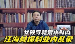 汪海林娱乐圈爆料
