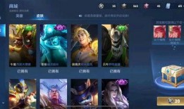 王者皮肤最新爆料有价格,价格揭晓，惊喜与期待并存