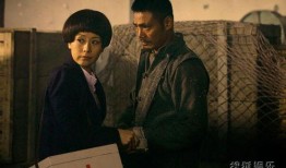 电视剧追捕在线观看,正义与邪恶的生死较量