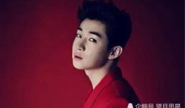 刘宪华爆料自己视频