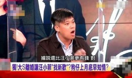 关于汪小菲的爆料视频在线观看,揭秘背后惊人真相