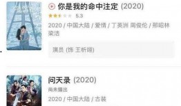 爱情事务所爆料视频播放,视频播放背后的甜蜜秘密