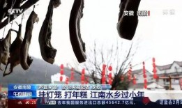 中央十三台直播在线观看视频,实时捕捉精彩瞬间，尽享视听盛宴