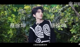 蔡徐坤爆料视频大全集最新,揭秘偶像背后的真实故事