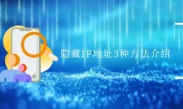 恋爱捕手3爆料攻略视频,视频爆料带你轻松捕获心仪对象