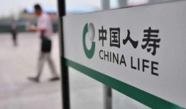 中国人寿员工最新爆料,揭秘保险行业内幕