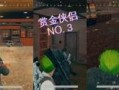 爆料游戏吃鸡视频在线观看,独家视频带你领略刺激战场魅力