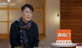 90年代歌手被爆料视频,揭秘娱乐圈不为人知的秘密