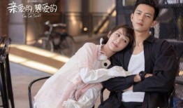 电视剧亲爱的在线观看,温情演绎家庭情感纠葛，感人至深！