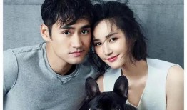 娱乐圈吃瓜明星爆料小说,揭秘明星背后的秘密与真相