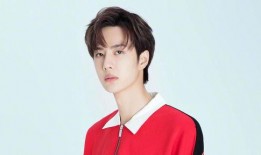 娱乐大爆料任嘉伦王一博,娱乐大爆料背后的双星闪耀