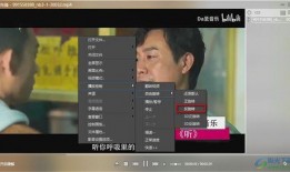 爆料张姓导演视频播放