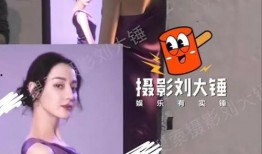 狗仔爆料怀孕视频大全集,怀孕视频大全集幕后真相大起底