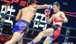 昆仑决爆料日本选手视频,日本选手挑战极限，精彩对决即将上演