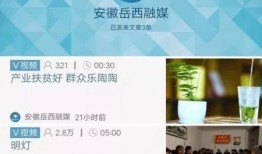 岳西最新爆料事件新闻,事件真相再掀波澜，官方调查进展如何？