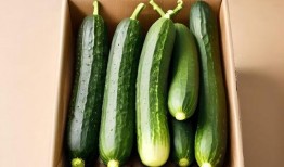 吃瓜网红图片大全高清版,全网热议！吃瓜网红高清美图大集合