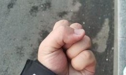 电光耗子爆料视频大全,热点事件幕后真相全解析