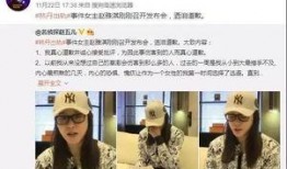 镇平新闻爆料事件视频大全,聚焦民生热点，揭示社会现象