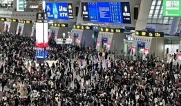 在线观看 蚁群,揭秘自然界中的智能与协作奇迹