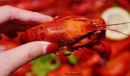 厦门龙虾爆料事件视频播放