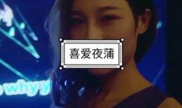 喜爱夜浦4在线观看全集,沉浸式夜生活全景之旅