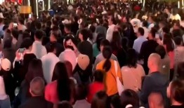 在线观看 蚁群,揭秘自然界中的智能与协作奇迹