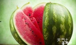 舒城网红吃瓜群微信,揭秘网络社交圈的趣味与争议