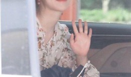 最新爆料杨紫郑爽,娱乐圈风云再起，精彩瞬间盘点