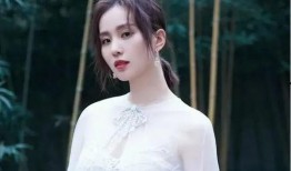 娱乐爆料刘诗诗,神秘男友身份引网友热议