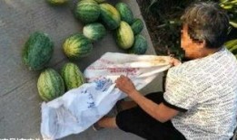 高县吃瓜最新事件爆料,揭秘背后惊人真相