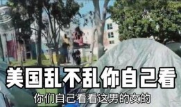 美国乱视频在线观看,乱视频在线观看背后的真相与反思