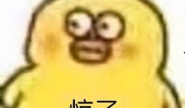 抖音娱乐吃大瓜了,揭秘娱乐圈最新大瓜，吃瓜群众纷纷围观！