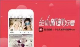 吃瓜视频大全西瓜视频免费,西瓜视频免费畅享