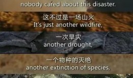 气象学家故事视频爆料,揭秘风云变幻背后的神秘故事