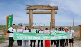 大漠免费吃瓜,免费吃瓜背后的神秘之旅