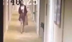 典雅学院爆料事件视频,一场校园风云的真相大起底