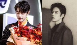 肖肖带你吃瓜娱乐圈,八卦风云，幕后真相大揭秘